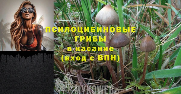 круглые Алзамай