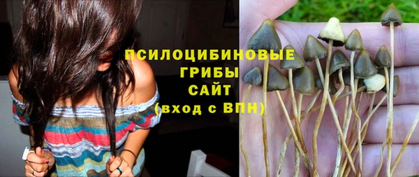 эйфоретик Алексин
