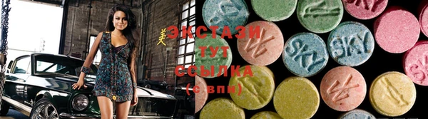 стафф Новозыбков